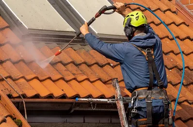 Démoussage et hydrofuge de toiture à Manigod